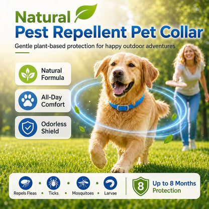 🌿 Skip the Chemicals! ✨ Natural Essential Oil Flea Collar – Repels Bugs, Not Safe for Pup. 🐶