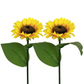 🌻Sunflower Solar Garden Stake Led Lights — Buy 2 Get 2 Free