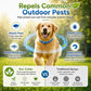 🌿 Skip the Chemicals! ✨ Natural Essential Oil Flea Collar – Repels Bugs, Not Safe for Pup. 🐶