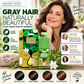 🔥Limited Time Promotion 50% OFF💇‍♀️Long‑Lasting Plant‑Based Foam Hair Dye｜Ammonia‑Free Easy DIY At‑Home Foam Hair Color