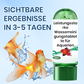 ✨️BUY 1 GET 1 FREE✨️Powerful Aquarium Water Purification Tablet