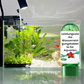 ✨️BUY 1 GET 1 FREE✨️Powerful Aquarium Water Purification Tablet