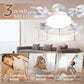 🏆LAST DAY SALE 50% OFF!!❄Aerolux™ Ceiling Fan Light – 2-in-1 Silent LED with Remote 🌬️💡  Energy-Efficient Airflow & Dimmable Lighting for Bedrooms, Living Rooms & Conservatories 🏡✨