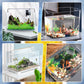 🐠 LIMITED‑TIME 50% OFF! 💧 Multifunctional Mini Filter for Small Fish Tank 🫧