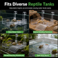 🐢 Save 50%! ✨ Hanging Turtle Basking Platform – Adjustable & high-level tank ready
