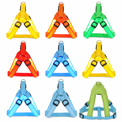 📢📢50% OFF !! ⏰ LED Dog Harness – Luminous, flashing & adjustable fit ✨